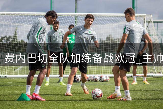 费内巴切全队加练备战欧冠 主帅亲授战术要点